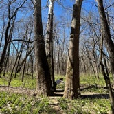 Review photo of St. Francois State Park by Nathan Y., April 28, 2022