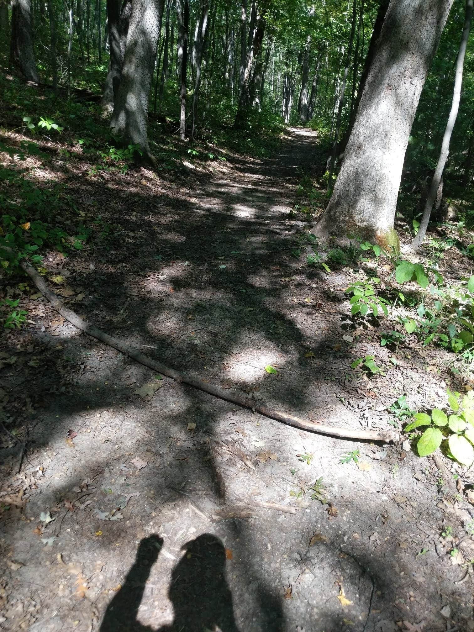 Camper-submitted photo at Mill Bluff State Park Campground near Elroy, WI