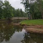 Review photo of Ole Bull State Park Campground by Danielle W., July 13, 2018