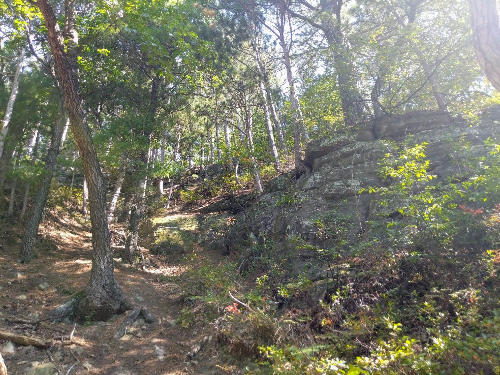 Camper-submitted photo at Mill Bluff State Park Campground near Elroy, WI