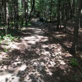 Review photo of Mill Bluff State Park Campground by Troy A., April 28, 2022