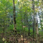 Review photo of Mill Bluff State Park Campground by Troy A., April 28, 2022