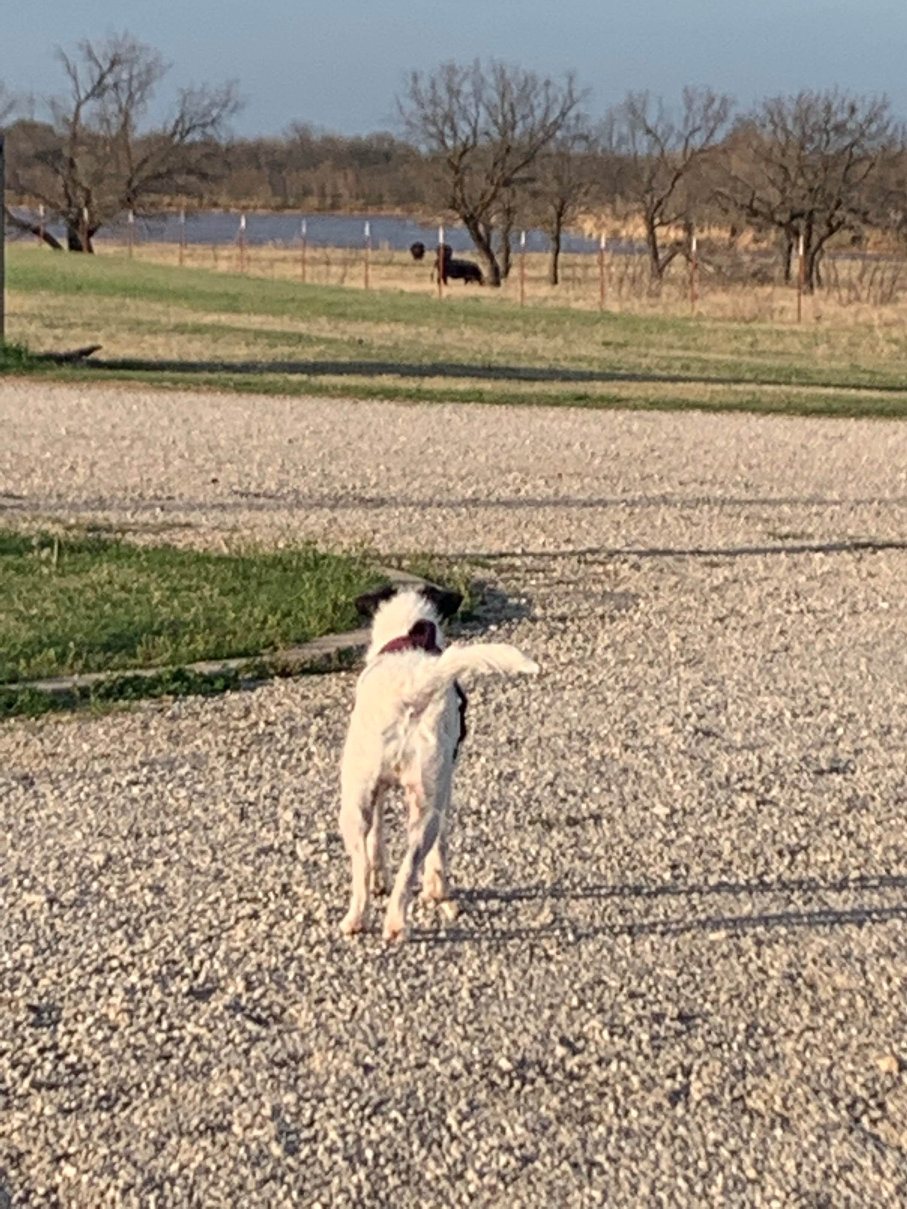Camper-submitted photo at Hapgood RV Park near Burkburnett, TX