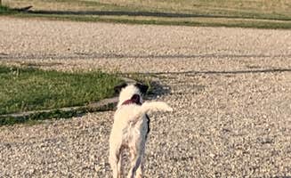 lynn's photo of camping with pets at Hapgood RV Park near Wichita Falls, TX