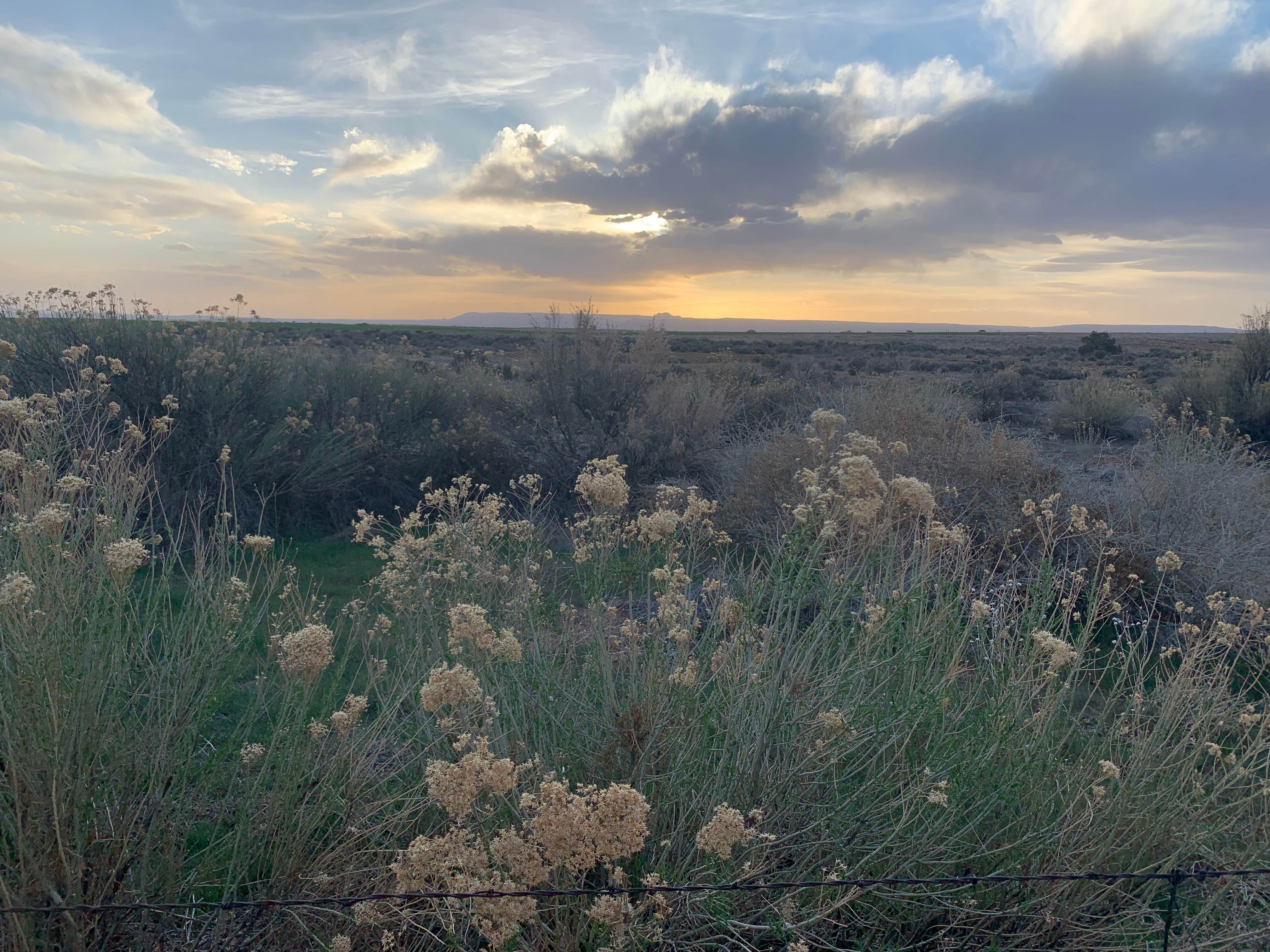 Camper-submitted photo at Blue Mountain RV Park near Blanding, UT