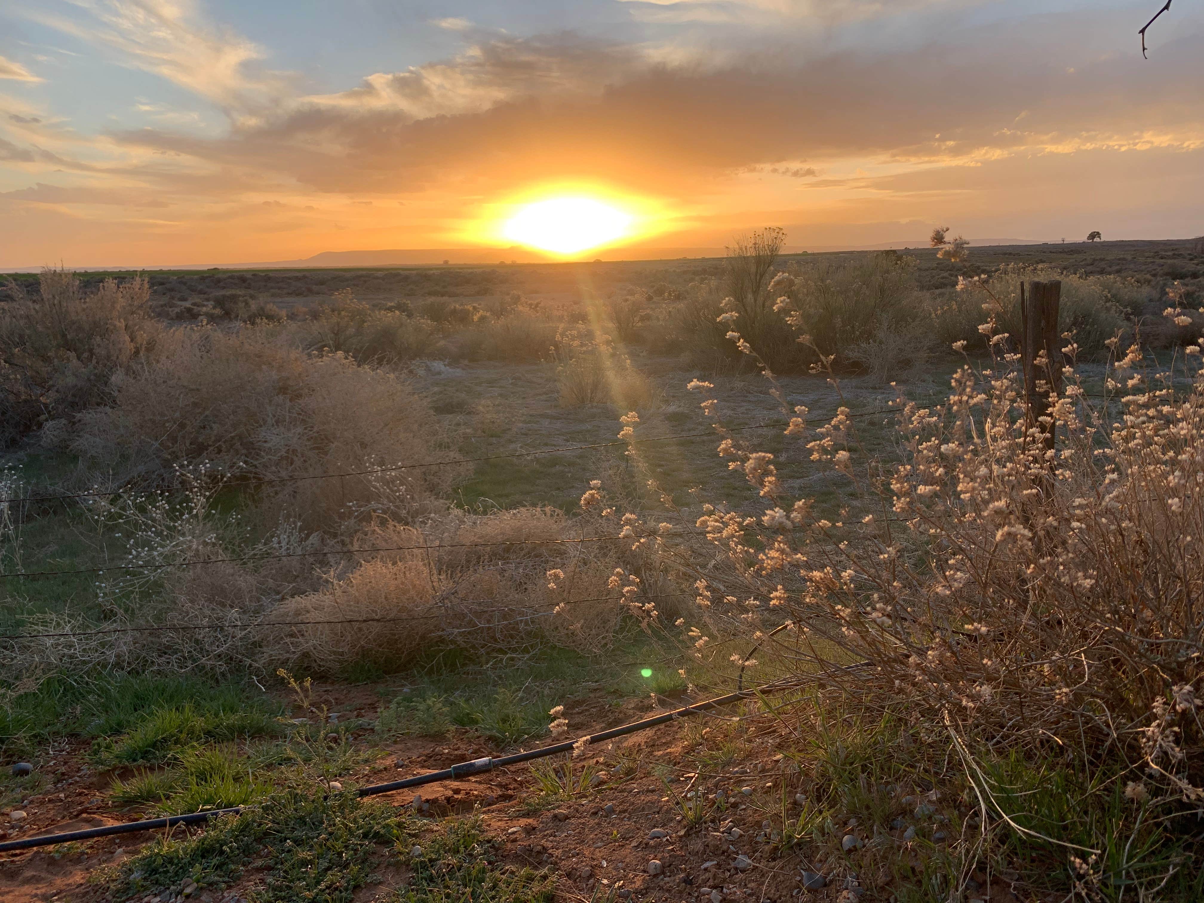 Camper-submitted photo at Blue Mountain RV Park near Blanding, UT