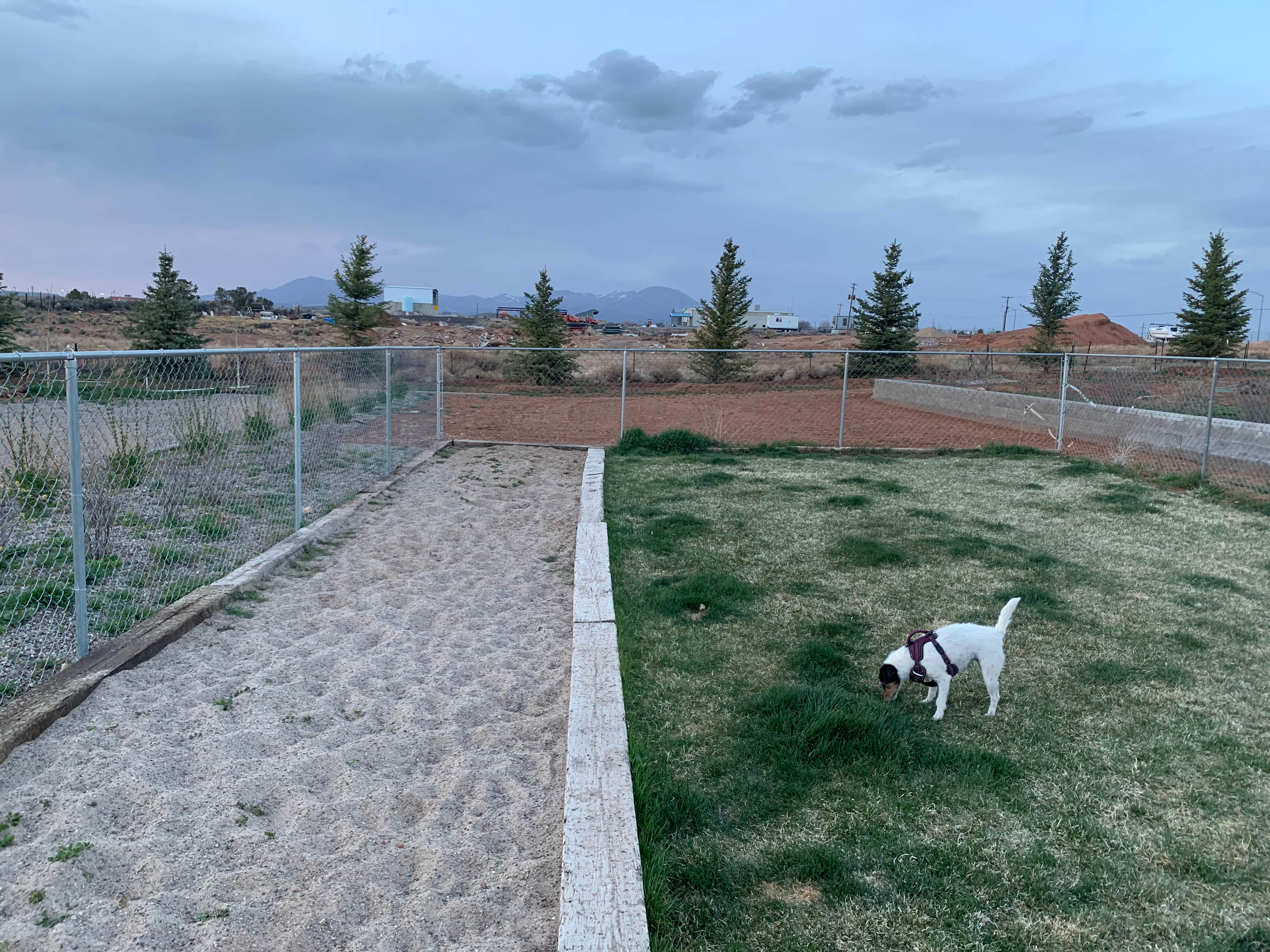lynn's photo of camping with pets at Blue Mountain RV Park near Blanding, UT