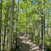 Review photo of Stephen Foster Folk Culture Center State Park Campground by Amy D., April 28, 2022