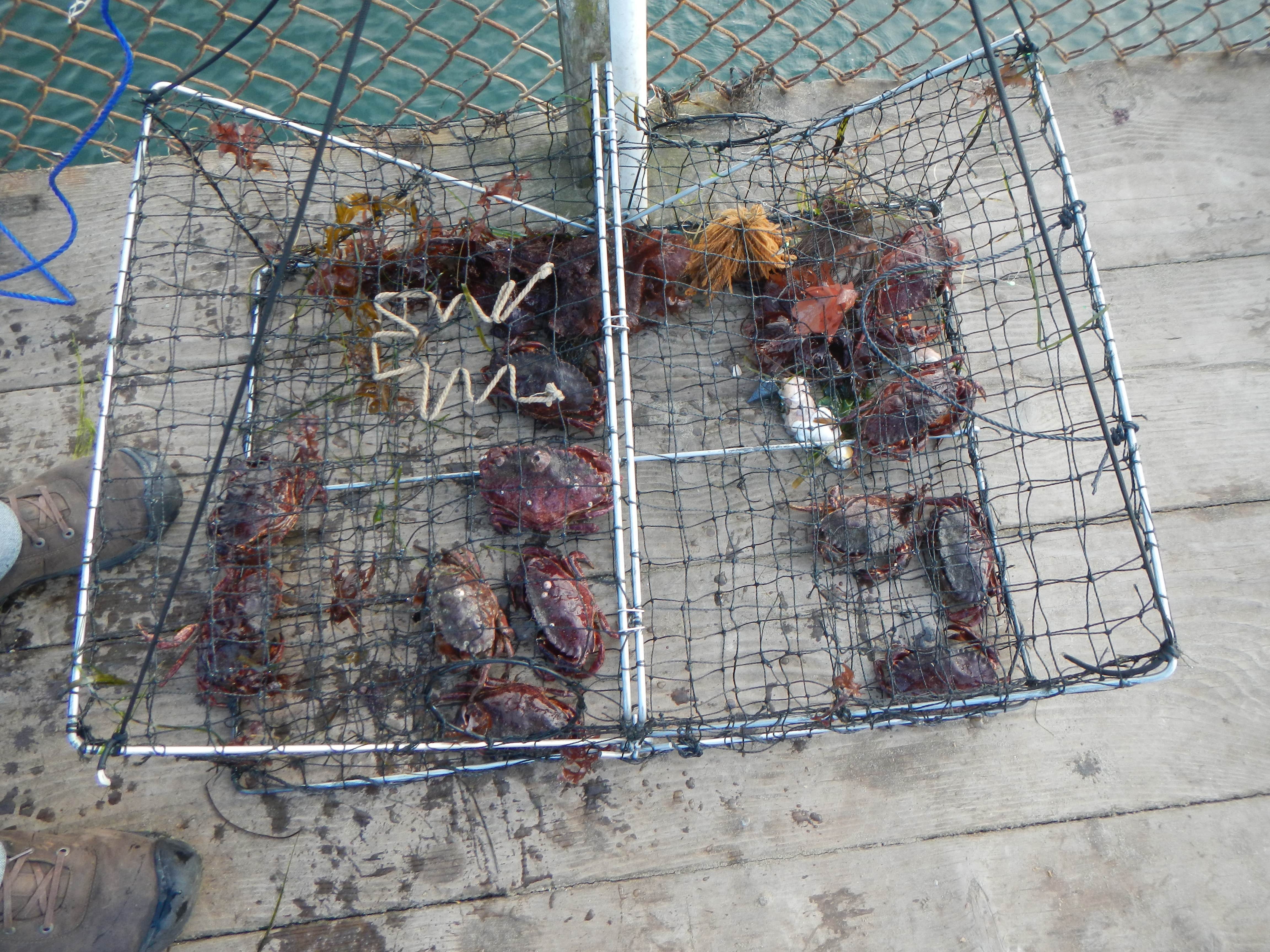 Camper-submitted photo at Lawson's Landing near Petaluma, CA