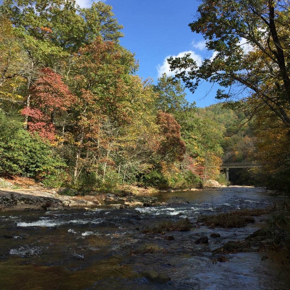 Camper submitted image from Carolina Hemlocks Rec Area - 3