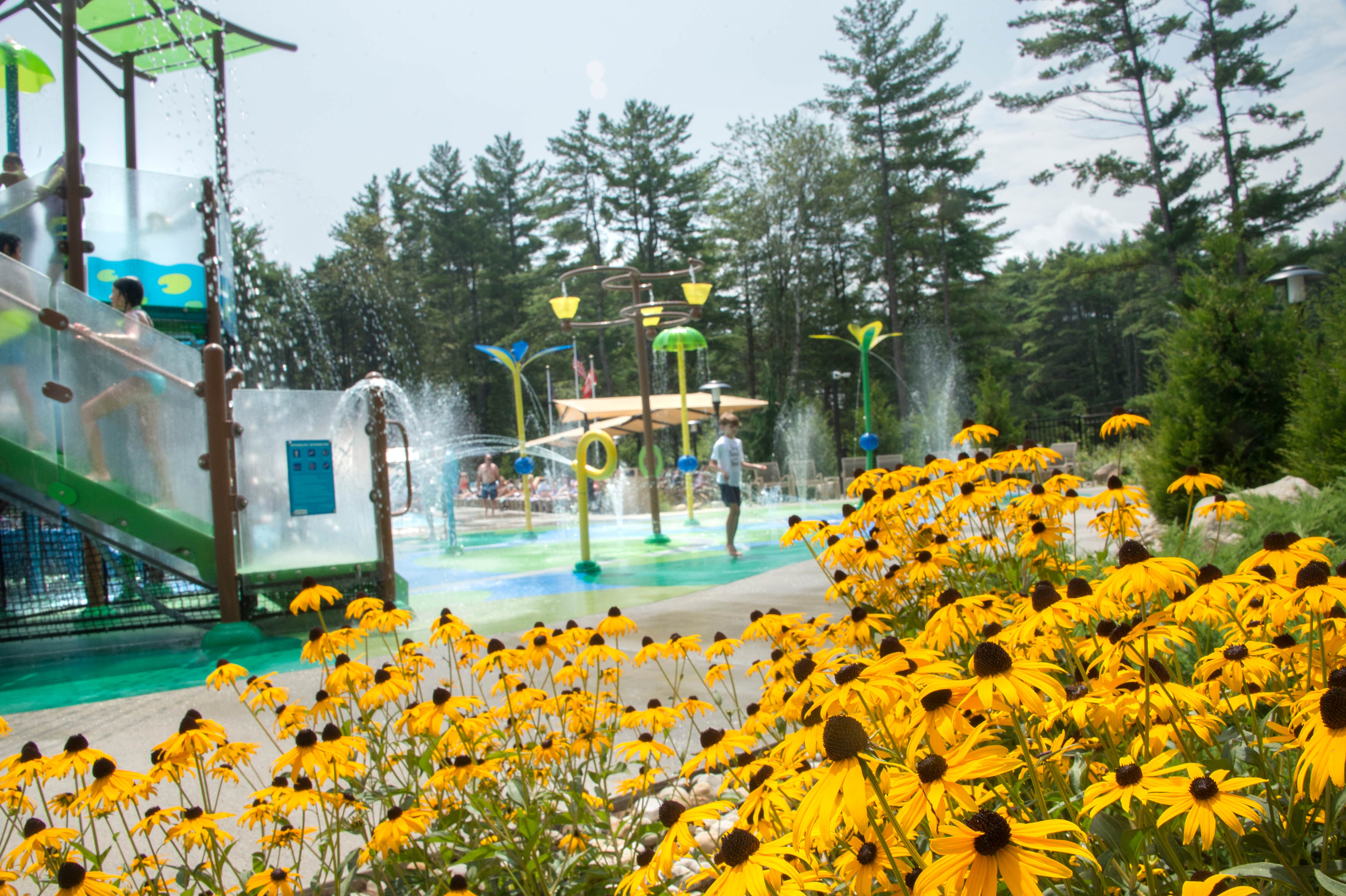 Camper-submitted photo at Lake George RV Park near Thurman, NY