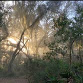 Review photo of Hopkins Prairie Campground — National Forests In Florida by Kacie W., April 29, 2022