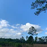 Review photo of Hopkins Prairie Campground — National Forests In Florida by Kacie W., April 29, 2022