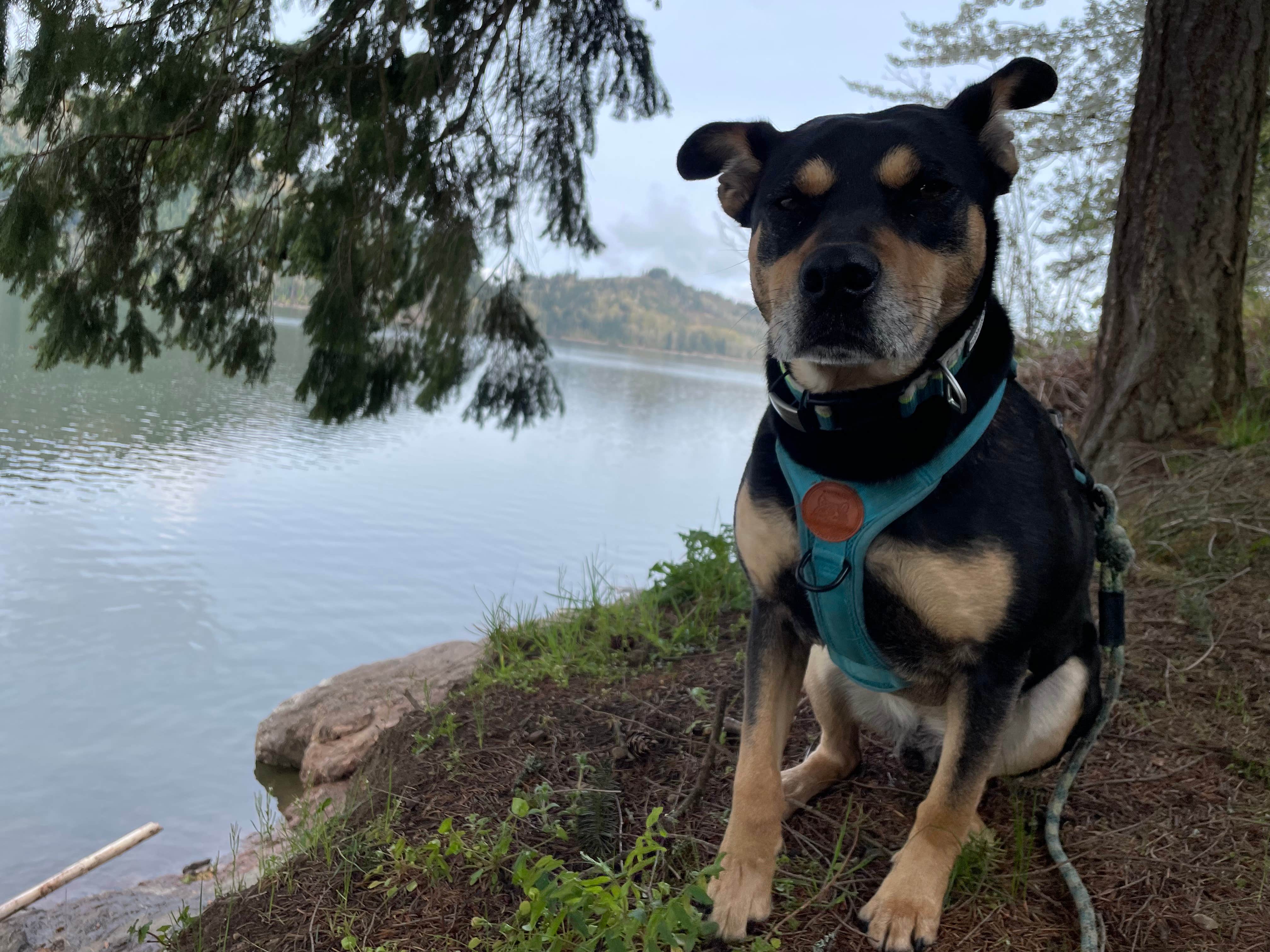 Camper-submitted photo at Rocky Point Campground near Elbe, WA