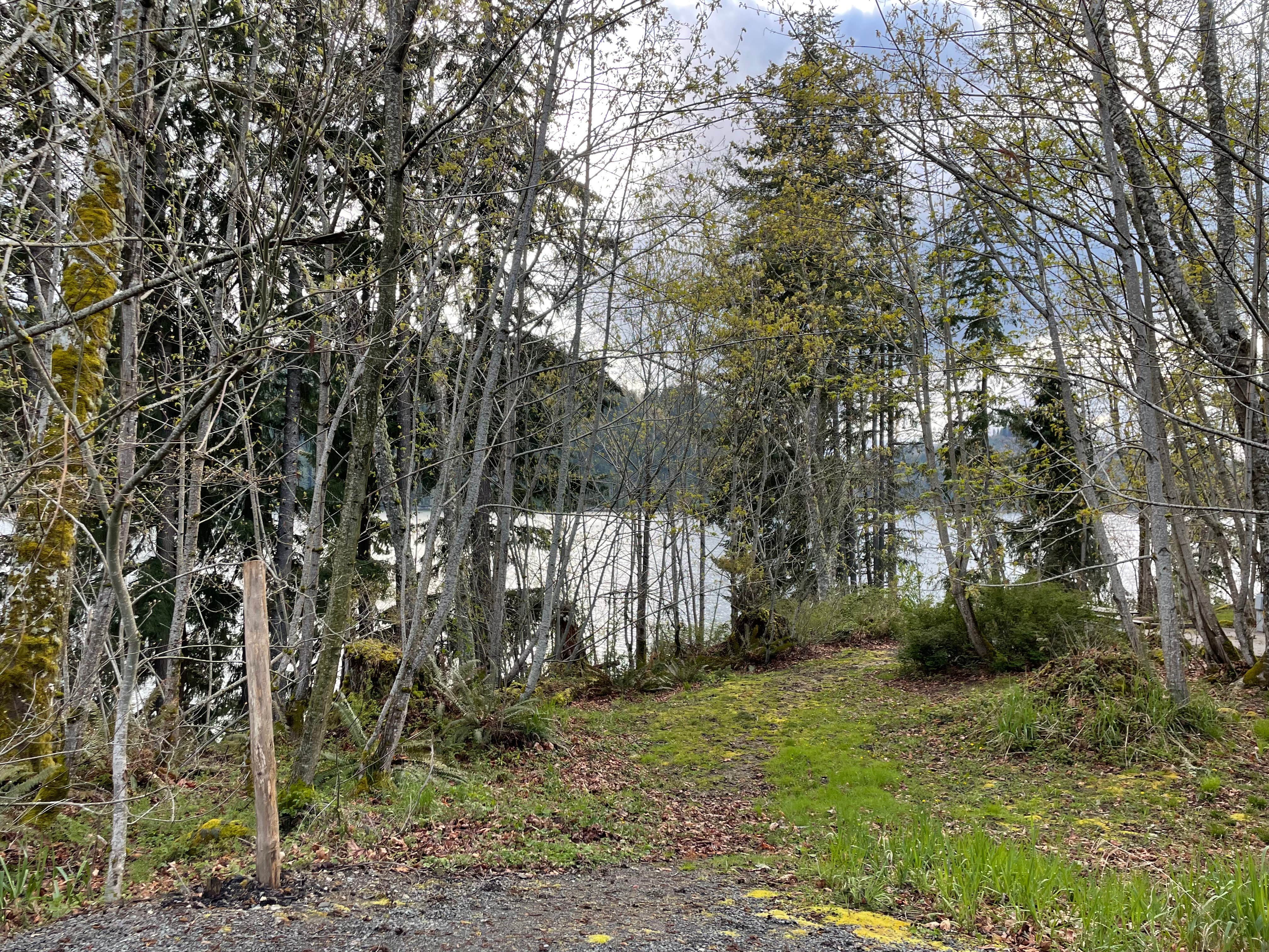Camper-submitted photo at Rocky Point Campground near Elbe, WA