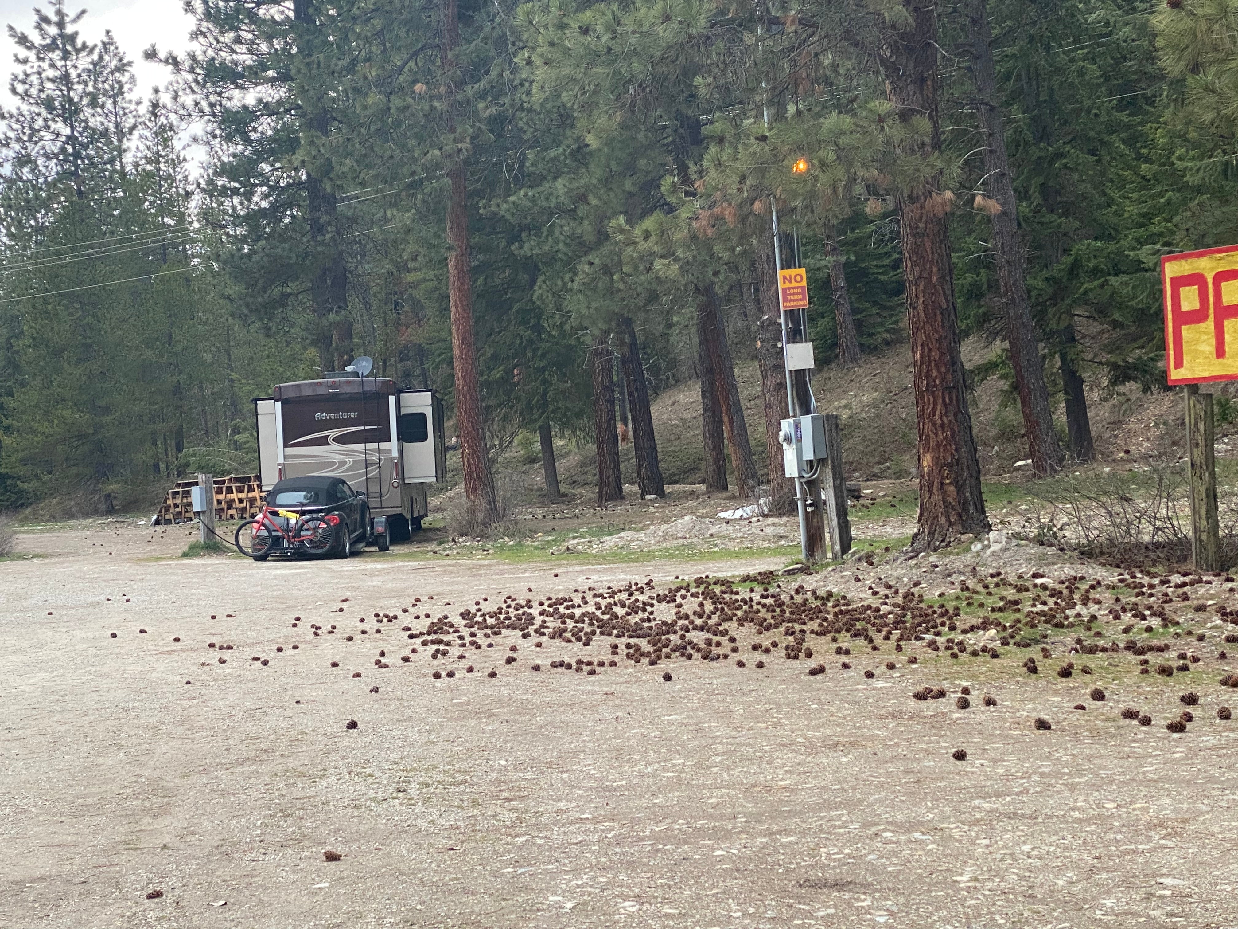 Camper submitted image from 50,000 Silver Dollar Campground - 3