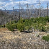 Review photo of Brandy Creek Primitive Campground — Whiskeytown-Shasta-Trinity National Recreation Area by Chris , April 29, 2022