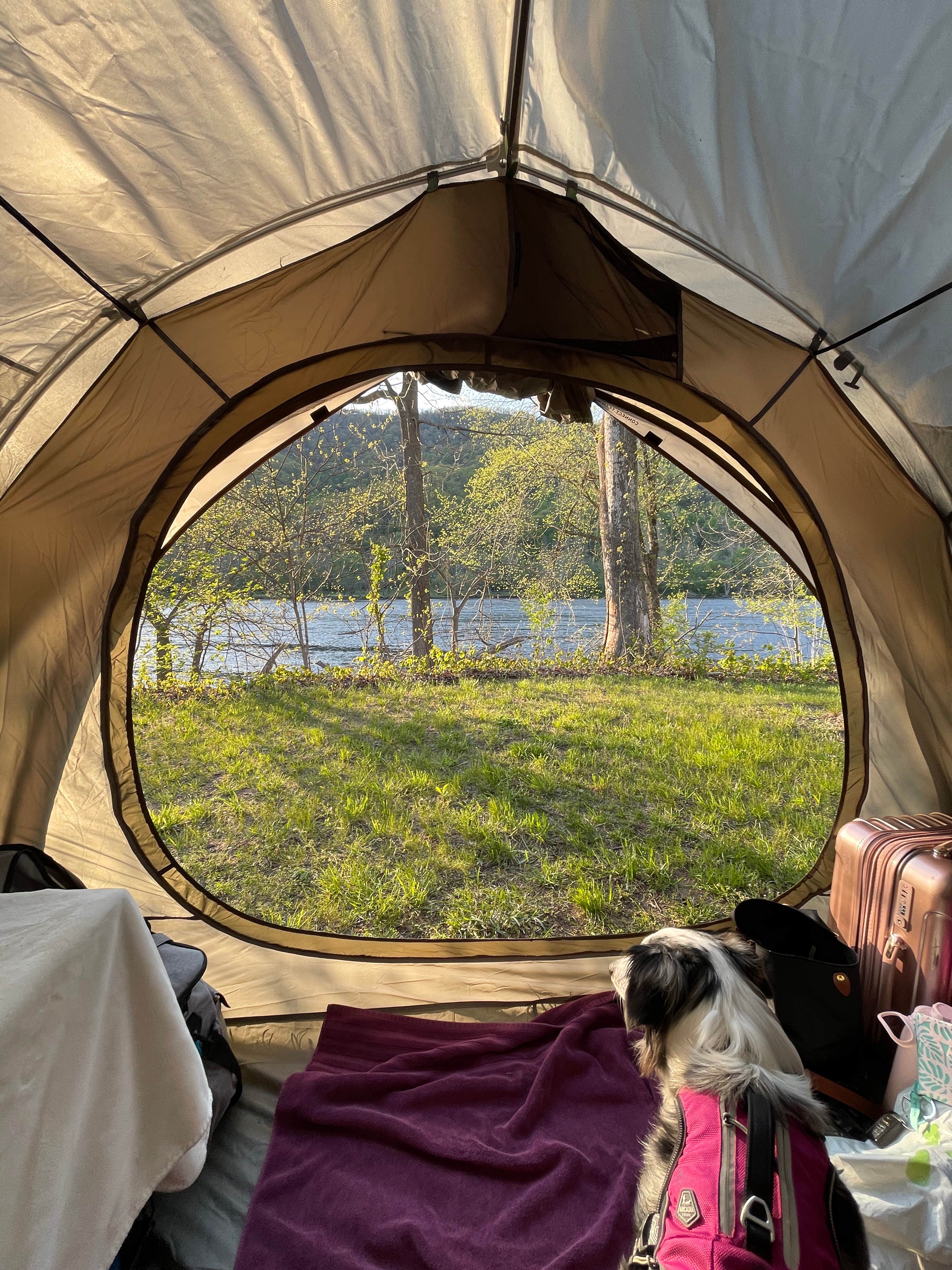 Cristina R.'s photo at New River Junction Campground in Virginia