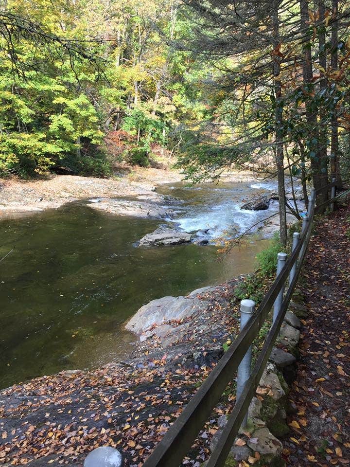 Camper-submitted photo at Carolina Hemlocks Rec Area near Burnsville, NC