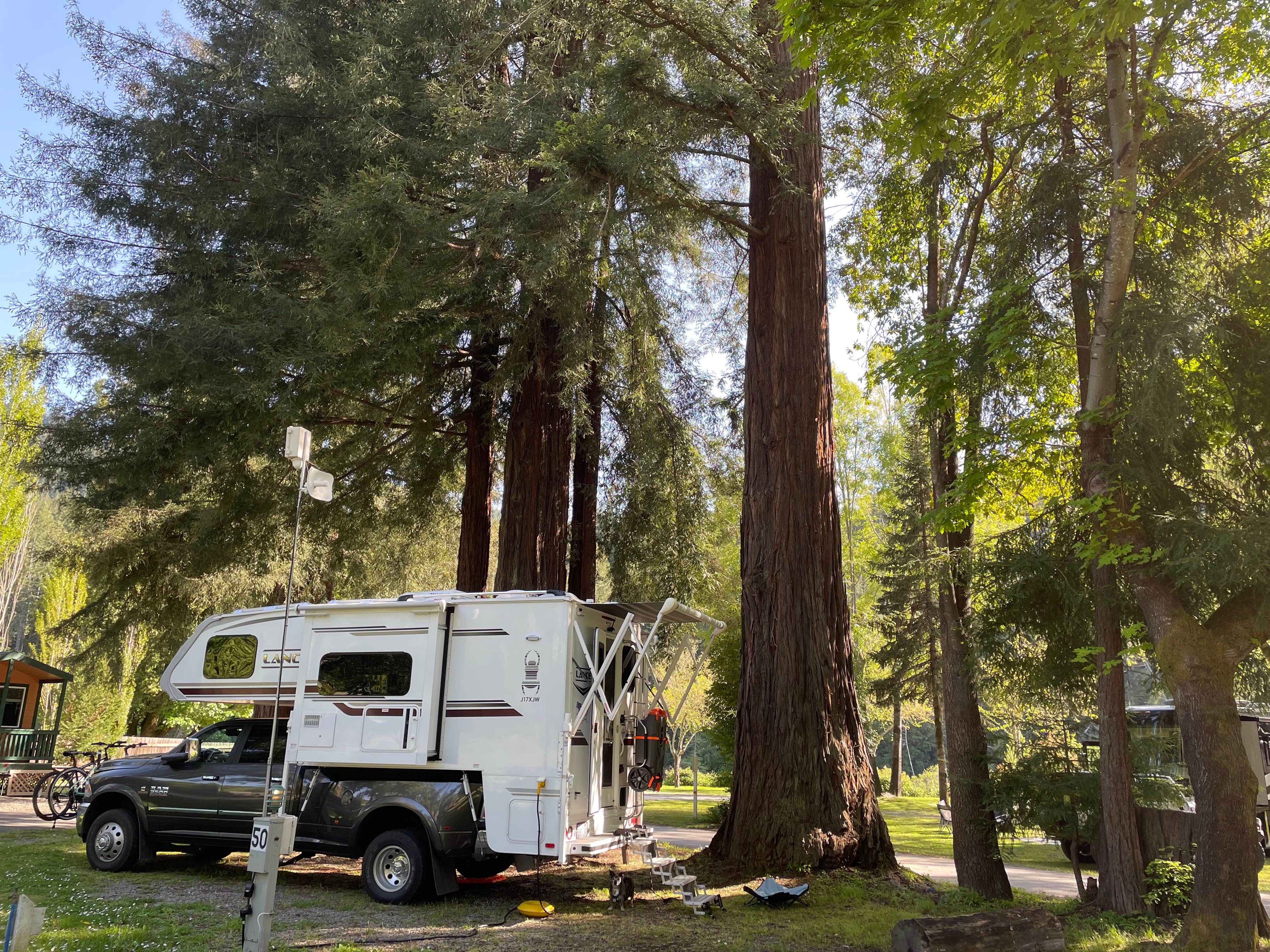 David M.'s photo of rv camping at Giant Redwoods RV & Cabin Destination near Leggett, CA