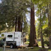 Review photo of Giant Redwoods RV & Cabin Destination by David M., April 29, 2022