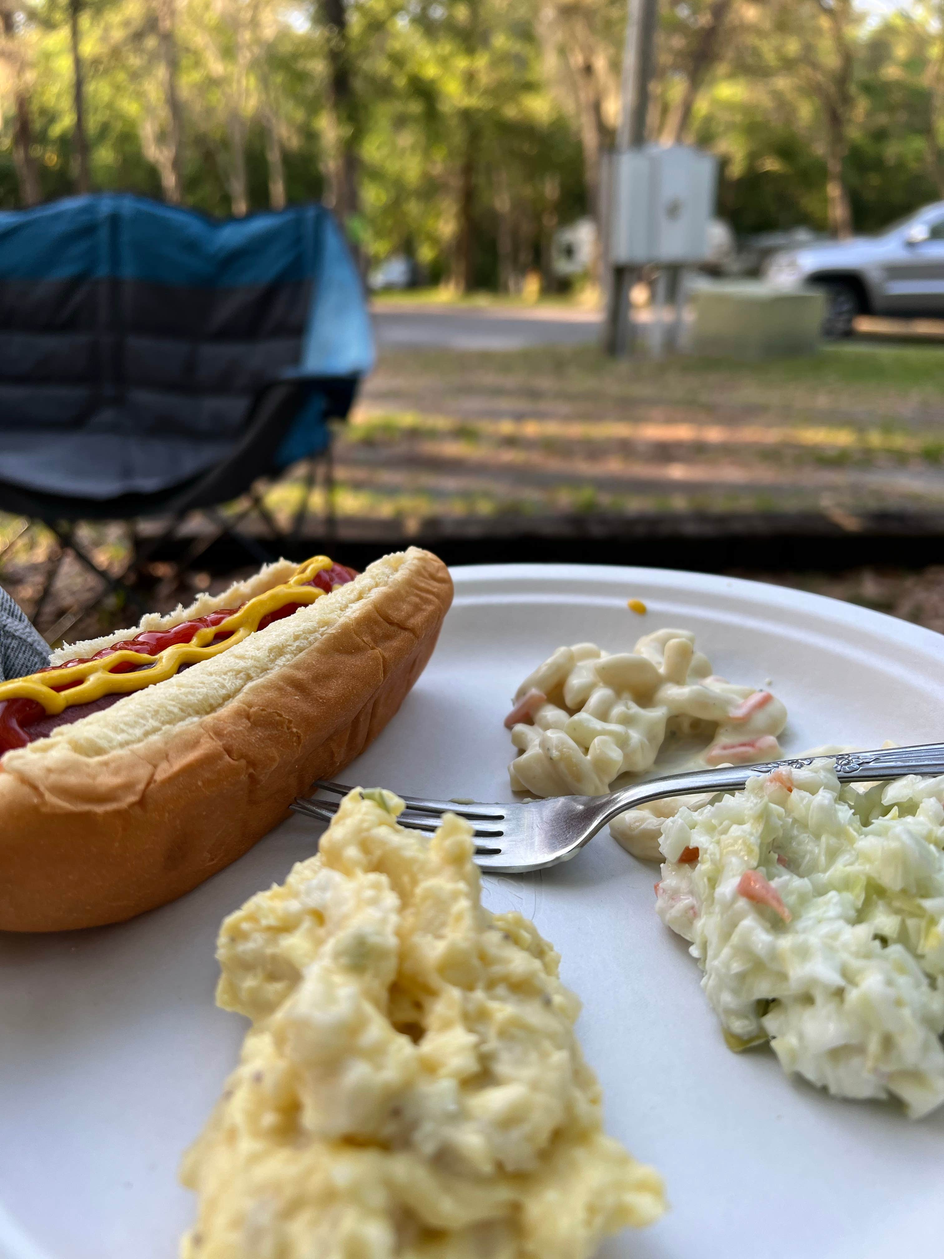 Donna H.'s photo of camping with pets at Country Oaks Campground & RV Park near Brunswick, GA