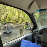 Review photo of Birch Bay State Park Campground by Artemis , April 29, 2022