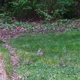 Review photo of Birch Bay State Park Campground by Artemis , April 29, 2022