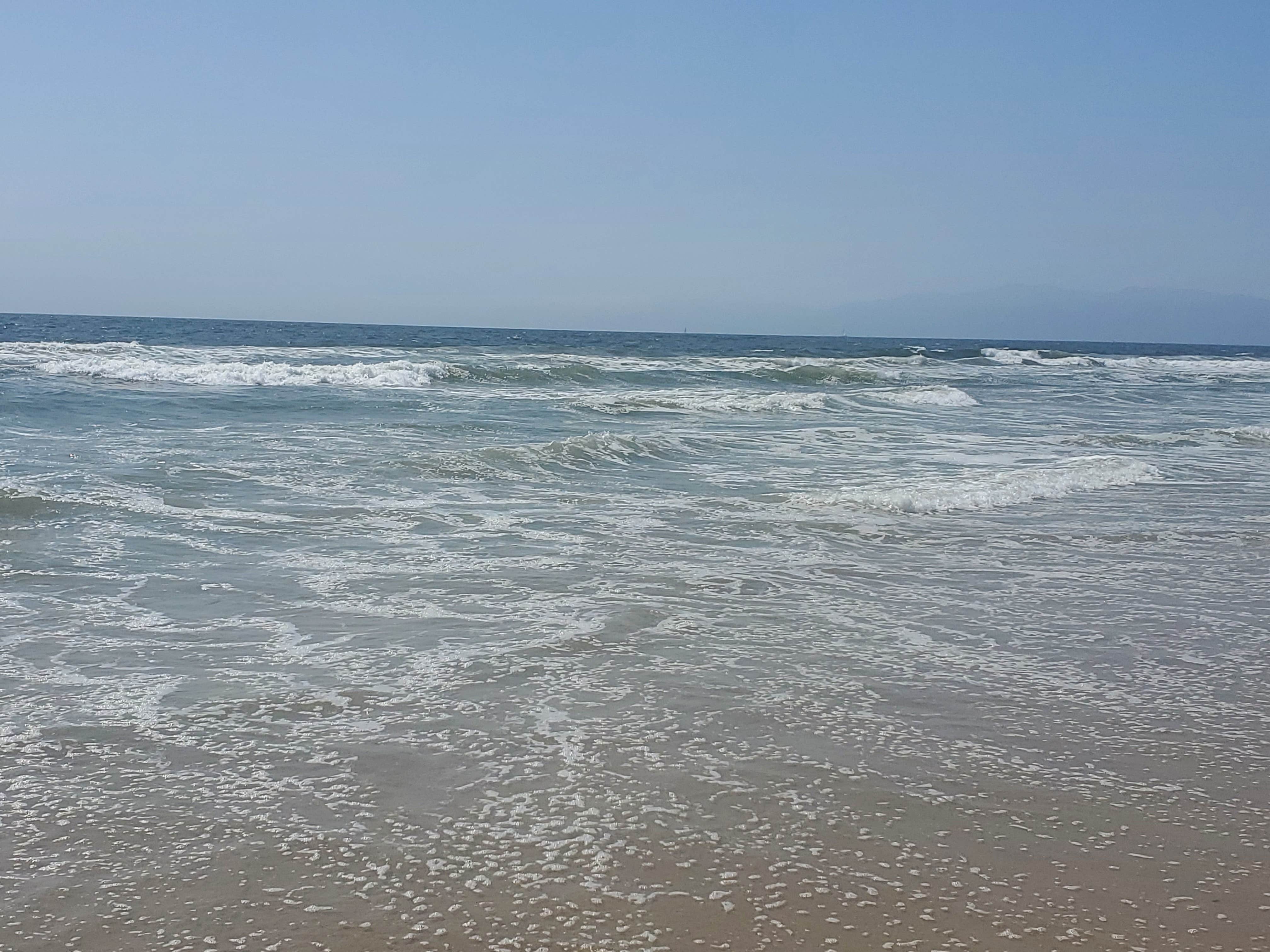 Camper submitted image from Dockweiler Beach RV Park - 5