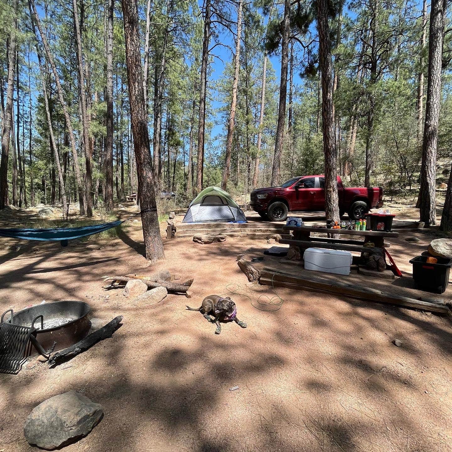 Krystofer  N.'s photo at Upper Tonto Creek — Tonto National Forest near Kohls Ranch, AZ