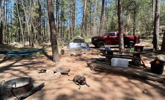 Krystofer N.'s photo at Upper Tonto Creek — Tonto National Forest near Kohls Ranch, AZ
