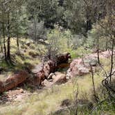 Review photo of Upper Tonto Creek — Tonto National Forest by Krystofer  N., April 30, 2022