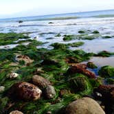 Review photo of Canyon Campground — Leo Carrillo State Park Campground by jim N., July 13, 2018