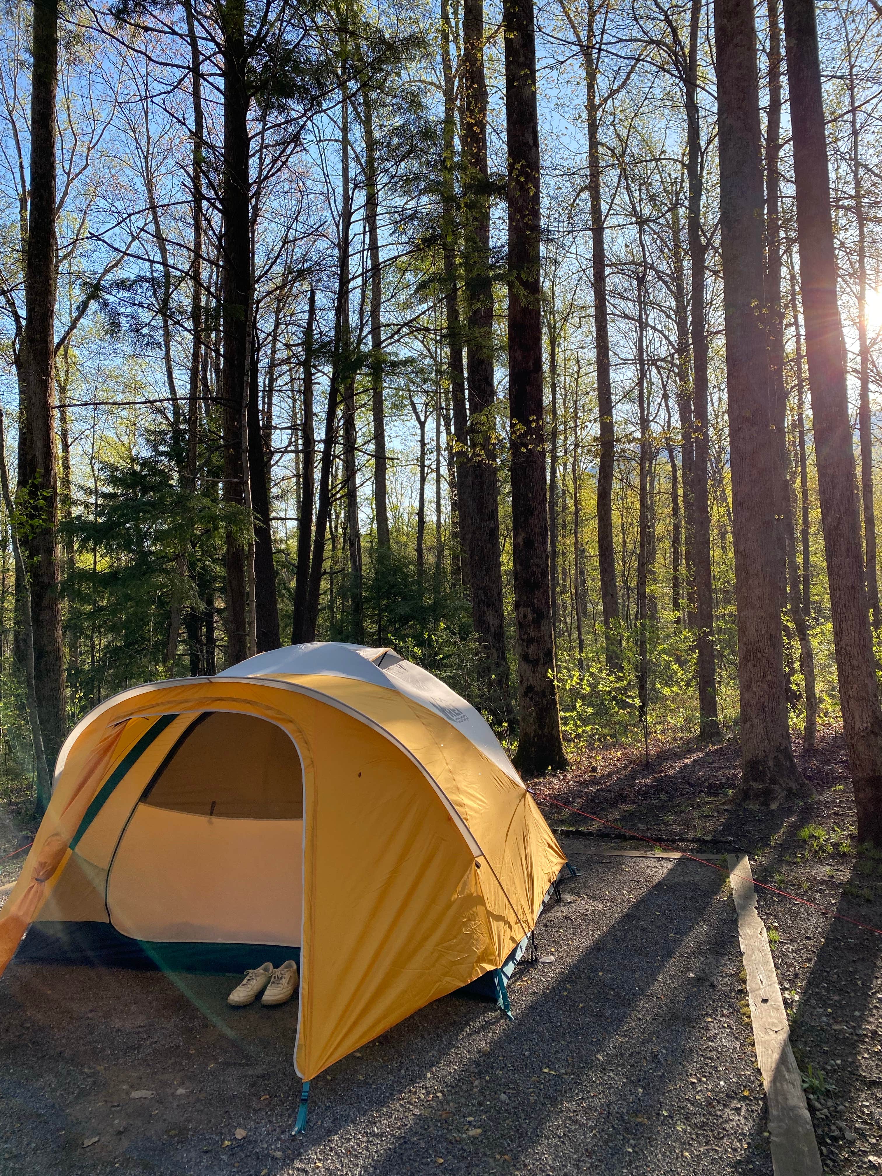 Lauren's photo at Cosby Campground - Great Smoky Mountains National Park in Tennessee