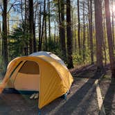 Review photo of Cosby Campground — Great Smoky Mountains National Park by Lauren , April 30, 2022