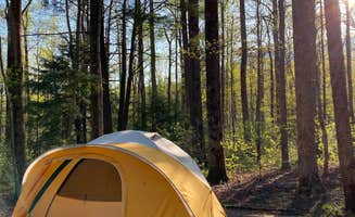 Lauren's photo at Cosby Campground - Great Smoky Mountains National Park in Tennessee