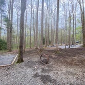 Review photo of Cosby Campground — Great Smoky Mountains National Park by Lauren , April 30, 2022