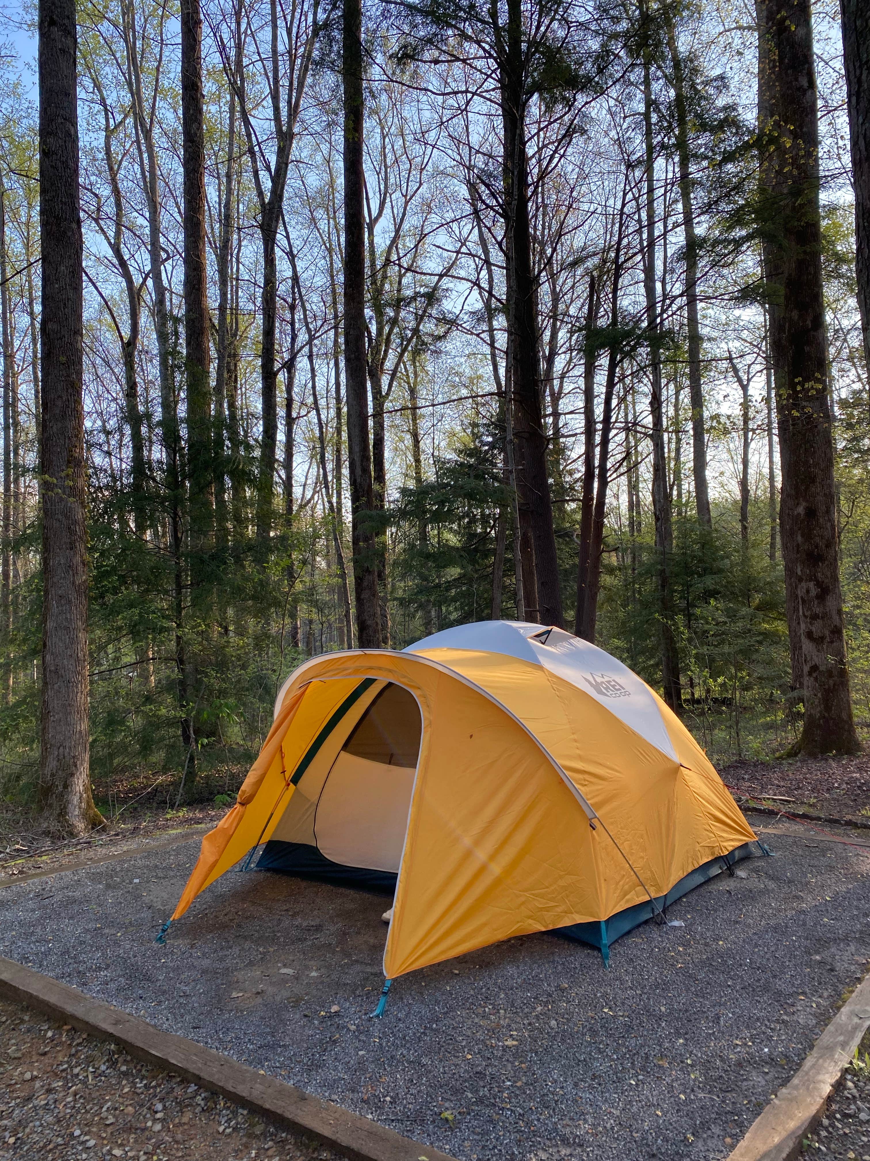 Lauren's photo of tent camping at Cosby Campground — Great Smoky Mountains National Park near Afton, TN