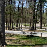 Review photo of Carter Caves State Resort Park by Jeremy K., April 30, 2022