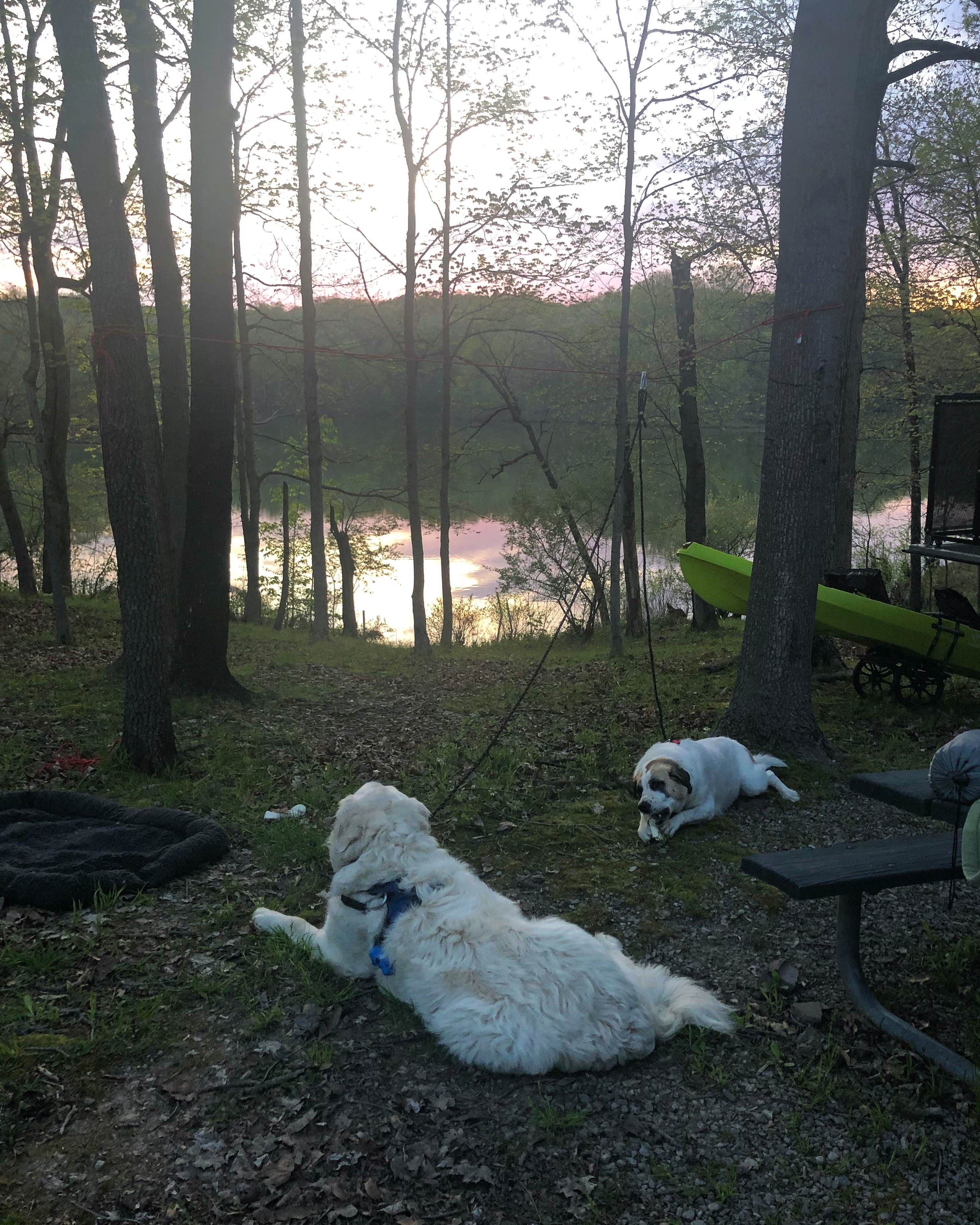 Camper-submitted photo at Little Grassy Lake Campground near Jonesboro, IL