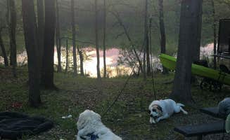 Kirstin A.'s photo of camping with pets at Little Grassy Lake Campground in Illinois
