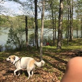 Review photo of Little Grassy Lake Campground by Kirstin A., April 30, 2022