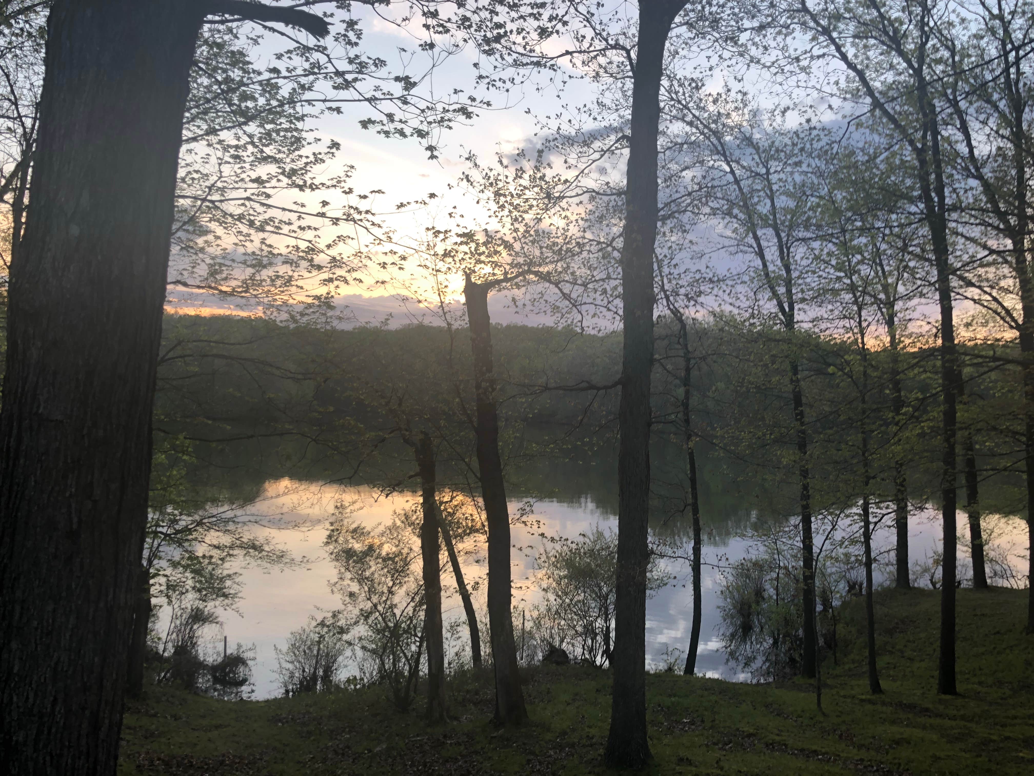 Camper-submitted photo at Little Grassy Lake Campground near Jonesboro, IL