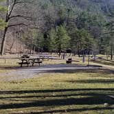 Review photo of Little Pine State Park Campground by Danielle W., July 13, 2018