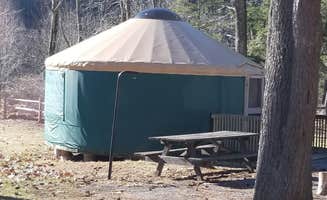 Danielle W.'s photo at Little Pine State Park Campground near North Bend, PA