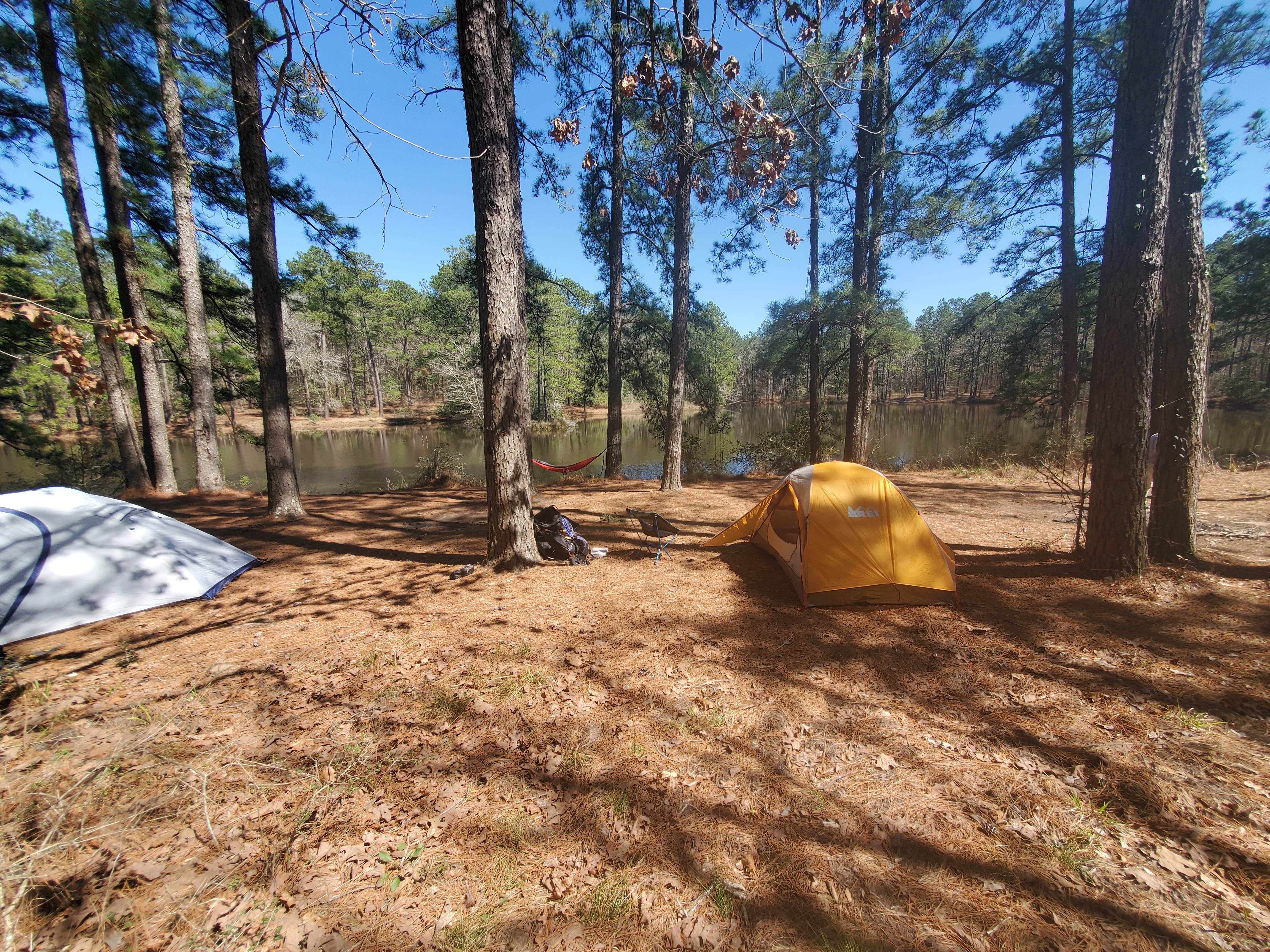 Camper submitted image from Lake Niederhoffer Campsite - 4