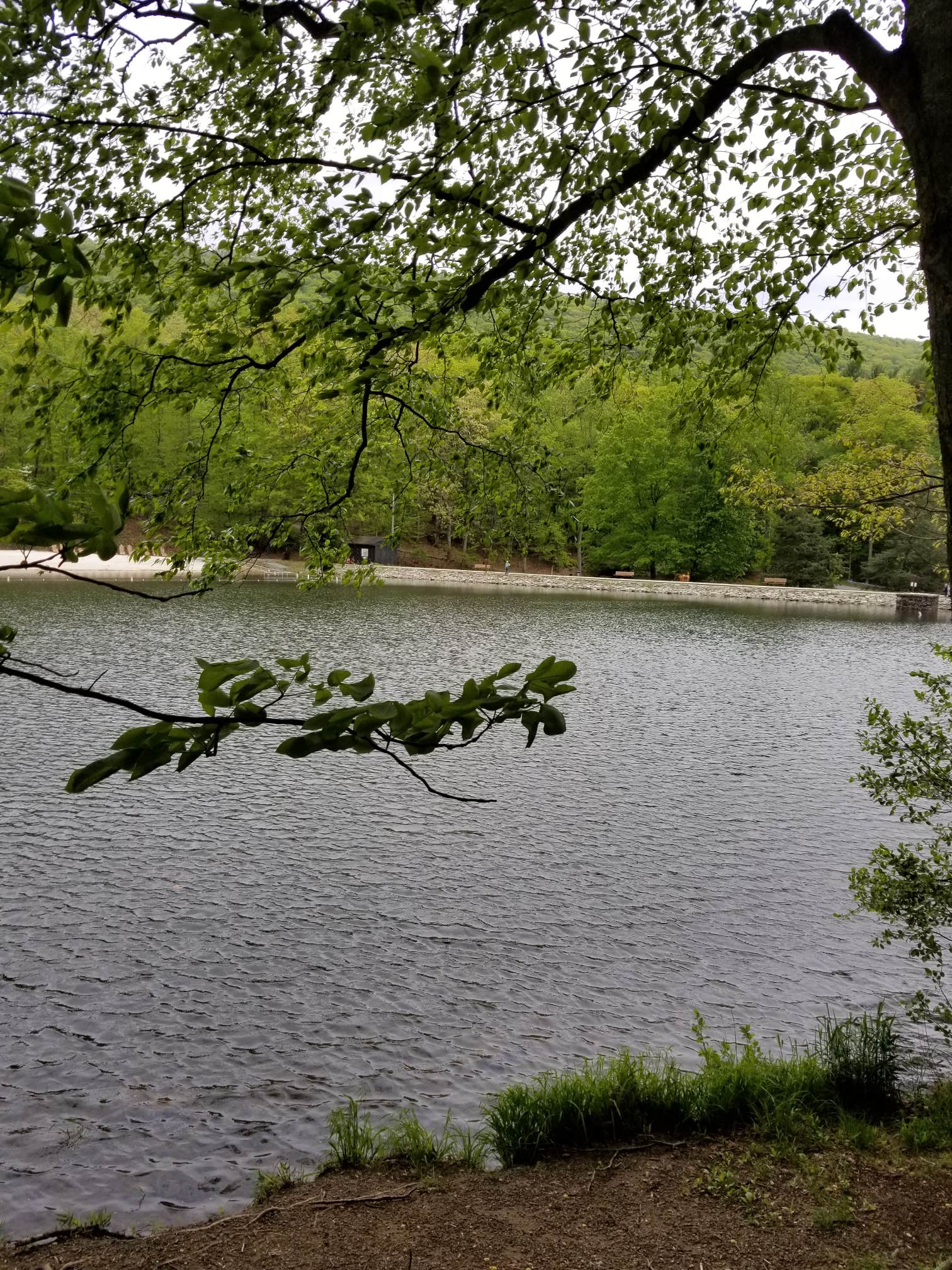 Camper submitted image from Colonel Denning State Park Campground - 5