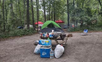 Miguel's photo at Ichetucknee Family Canoe and Cabins near Osceola National Forest