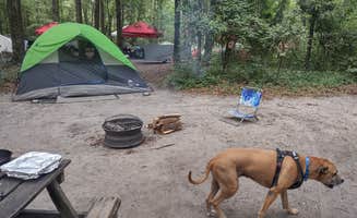 Miguel's photo of camping with pets at Ichetucknee Family Canoe and Cabins near Lake Butler, FL