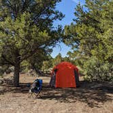 Review photo of Carson NF - Forest Service Road 578 - Dispersed Camping by Ian O., April 30, 2022